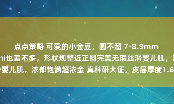 点点策略 可爱的小金豆，圆不溜 7-8.9mm 小金珠，稀有程度和Keshi也差不多，形状规整近正圆完美无瑕丝滑婴儿肌，浓郁饱满超浓金 真科研大证，皮层厚度1.6mm_尺寸_菲律宾