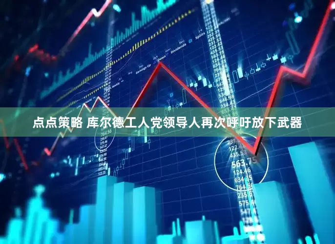 点点策略 库尔德工人党领导人再次呼吁放下武器