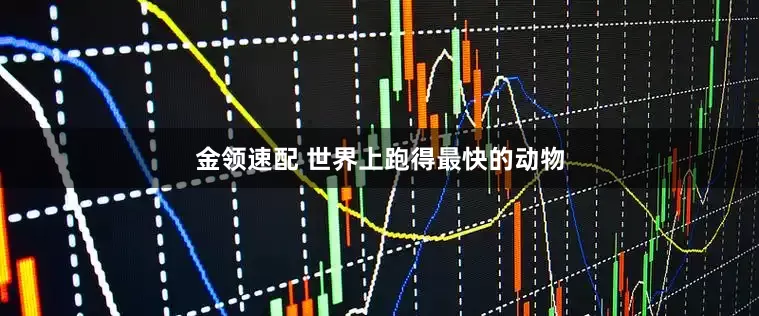 金领速配 世界上跑得最快的动物