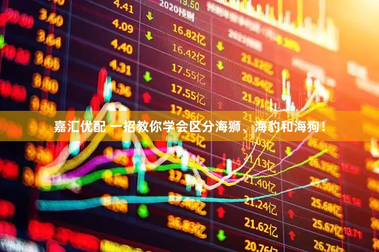 嘉汇优配 一招教你学会区分海狮、海豹和海狗！
