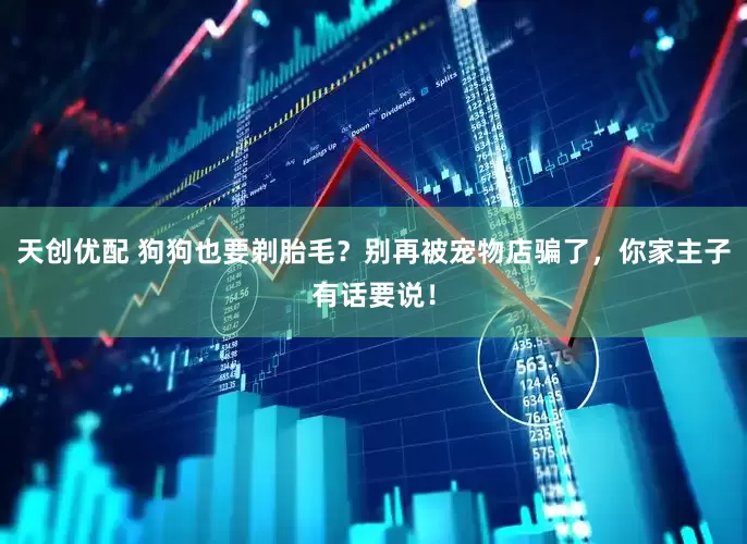 天创优配 狗狗也要剃胎毛？别再被宠物店骗了，你家主子有话要说！
