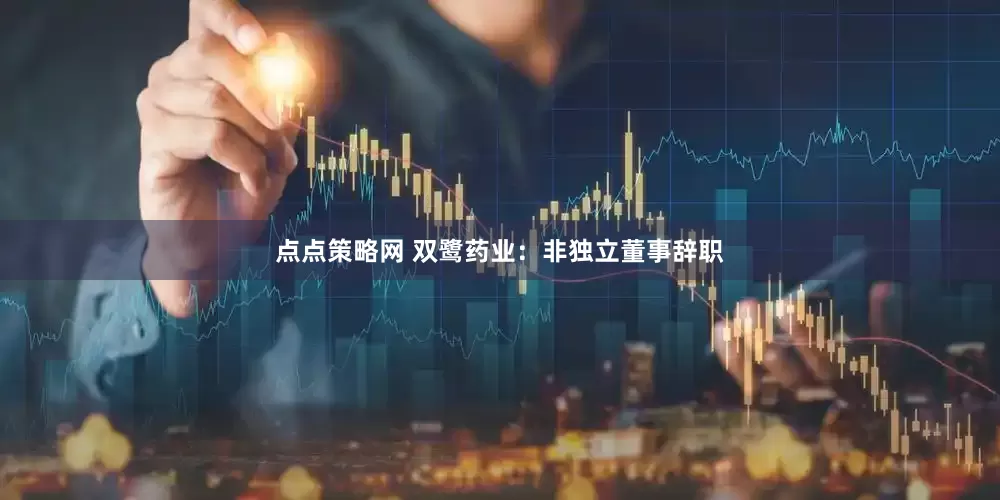 点点策略网 双鹭药业：非独立董事辞职
